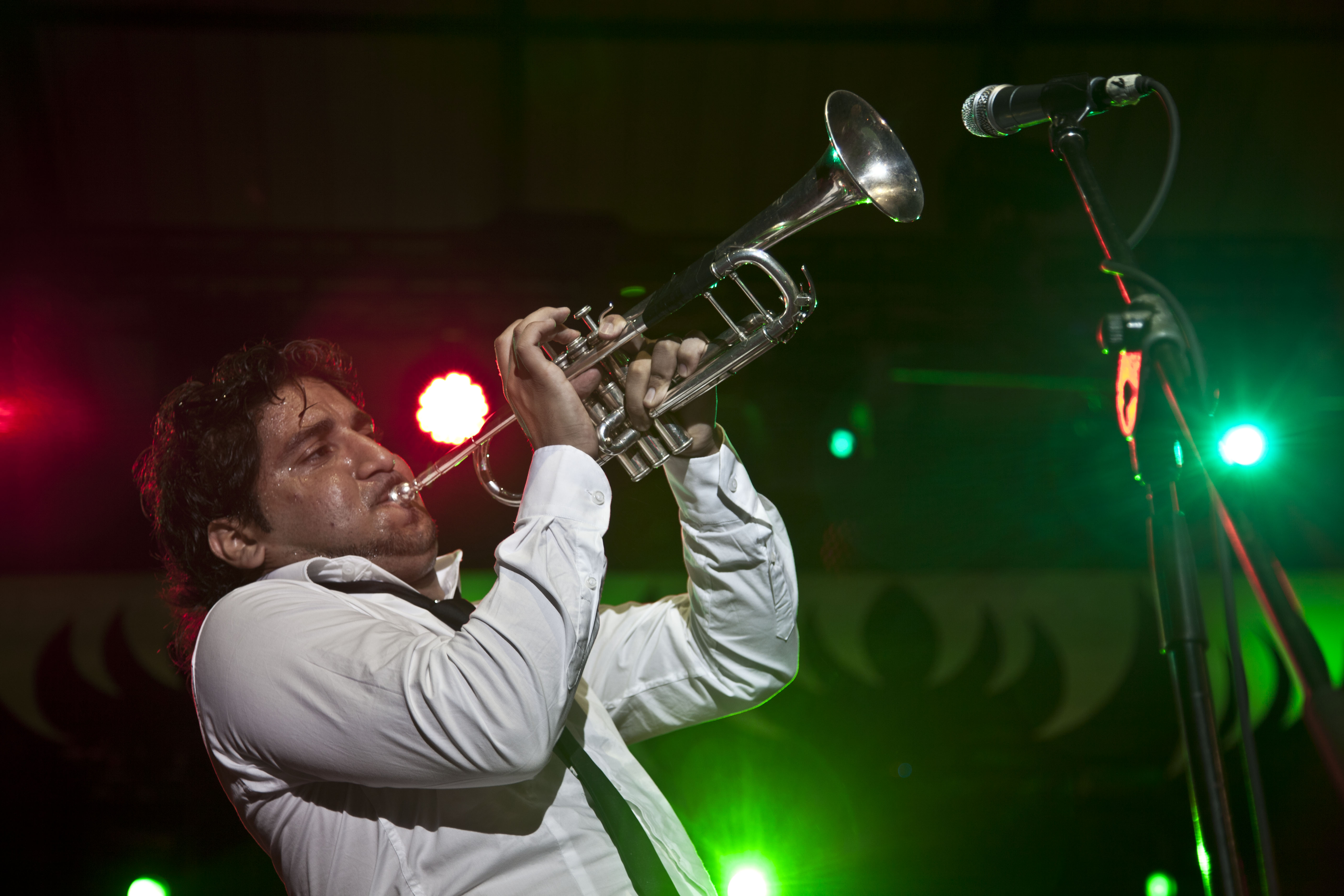 Marko Markovic, Guca Trumpet Festival, Serbia